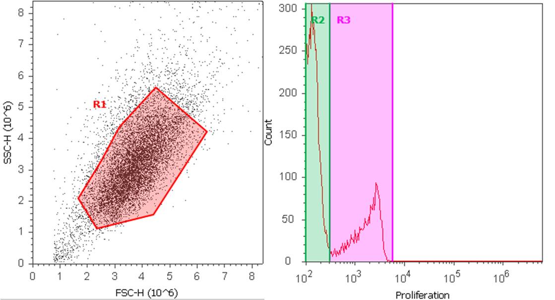 Proliferation Assay for Flow Cytometry Using Edu Kit